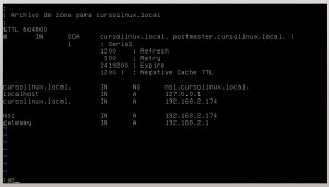 Configurar servidor DNS en Debian