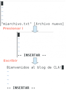 Iniciar vi y pasar a modo de inserción para editar texto