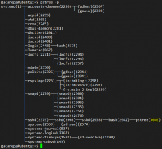 Introducción a los procesos en Linux – El Camino del Sysadmin