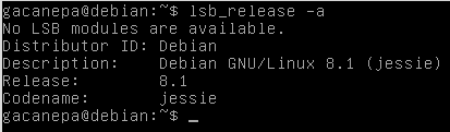 Actualización de Debian: el sistema inicialmente tiene la versión 8.1