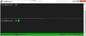 Dividir horizontalmente la terminal con tmux