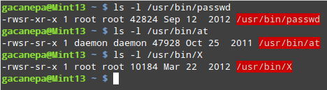 Permisos elevados para en los archivos passwd, at, y X dentro de /usr/bin
