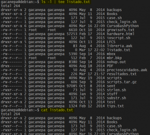 Usar tee en Linux: guardar el resultado de un comando en un archivo