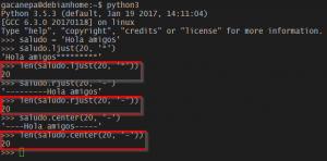 Manipular strings con Python: agregar padding