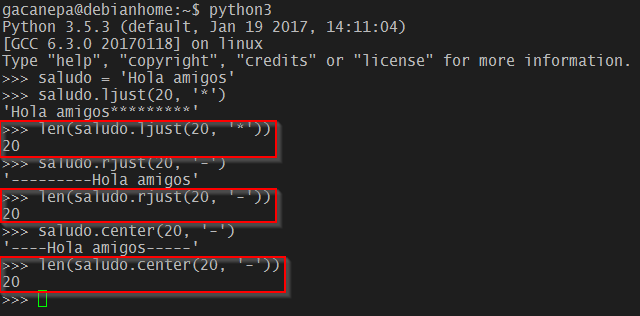Manipular strings con Python: agregar padding