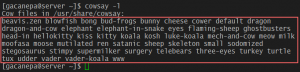Cowsay en Linux: lista de figuras disponibles