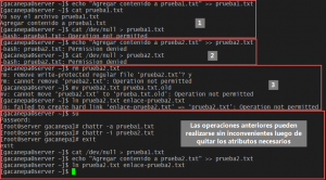 Lsattr y chattr: establecer y quitar atributos especiales con chattr