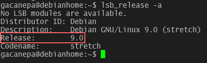 Versiones menores en Debian: 9.0