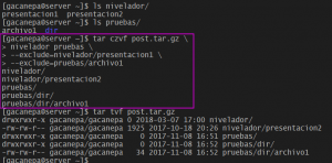 Excluir archivos con tar